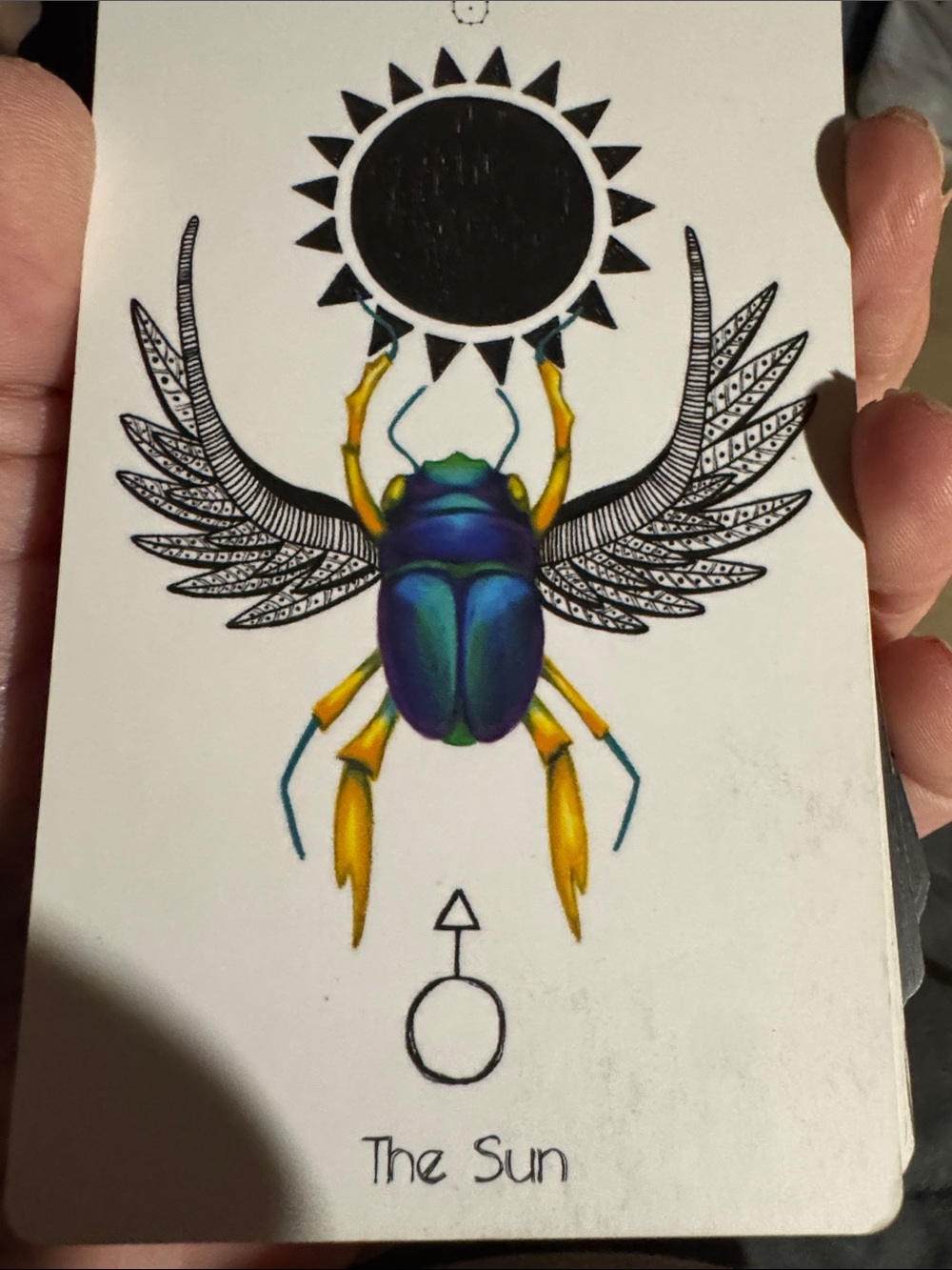 The Sun Scarab Art Print - Blue & Yellow Beetle Illustration for TJRyan